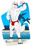 2025 4_toes 5_fingers abs ankle_band anthro armpit_tuft artist_name barefoot biceps biped black_claws broad_shoulders bulge calf_muscles canid canine canis cel_shading cheek_tuft claws clothed clothing day detailed_bulge ear_piercing ear_ring eyewear facial_tuft feet finger_claws fingers fist flexing flexing_bicep fluffy fluffy_tail forearm_muscles fur gold_ear_piercing gold_ear_ring gold_navel_piercing grey_nose grey_pawpads grimsvault hand_on_hip looking_at_viewer male mammal multiple_ear_piercings multiple_ear_ring muscular muscular_anthro muscular_male narrowed_eyes navel navel_piercing navel_ring neck_tuft nipples outside palm_tree pawpads paws pecs piercing pink_nipples plant plantigrade poolside pose presenting quads ring_piercing roman_numeral serratus shaded signature sky smile snout solo speedo speedo_only standing stocky studded_ankleband studded_wristband studs sunglasses swimming_pool swimwear tail text thick_limbs tight_clothing toe_claws toes toothy_smile topless tree tuft veiny_arms white_body white_fur wolf wristband