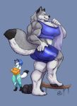  2018 anthro bench big_muscles biped blue_hair bottomwear breasts butt canid canine canis cleavage clothed clothing digital_media_(artwork) duo female fluffy fluffy_tail fur gravewalker grey_body grey_fur hair hi_res karawuff larger_female luma_(character) macro mammal micro midriff muscular muscular_female pawpads paws simple_background size_difference smaller_female step_pose topwear towel white_body white_fur wolf 