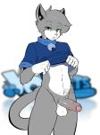  anthro balls bottomless clothed clothing collar domestic_cat erection felid feline felis foreskin fur genitals green_eyes grey_body grey_fur hi_res leo_(vg_cats) looking_at_viewer male mammal munks_(artist) penis presenting solo vg_cats webcomic 