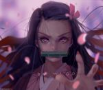  1girl artist_name bow commentary_request fingernails hair_bow highres japanese_clothes kamado_nezuko kimetsu_no_yaiba kimono long_hair looking_at_viewer multicolored multicolored_eyes outstretched_hand petals pink_eyes pink_kimono purple_eyes purple_hair sharp_fingernails simple_background solo wlop 