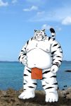  2008 anthro asian_clothing belly clothing east_asian_clothing felid fundoshi fur humanoid_hands japanese_clothing kemono male mammal mind_drive mizuse_higomaru moobs navel nipples outside overweight overweight_male pantherine real solo tiger underwear white_body white_fur 