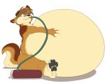  air_(disambiguation) air_inflation air_tank anthro belly belly_inflation black_nose black_pawpads brown_body brown_fur brown_hair canid canine dark_brown_fur eyewear fur goggles hair hand_on_stomach inflation male mammal pawpads pivoted_ears tan_body tan_fur unknown_artist 