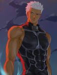  1boy abs alternate_costume archer armor automney bara bare_shoulders breastplate brown_eyes chest closed_mouth cloud cloudy_sky covered_abs covered_navel dark_skin dark_skinned_male fate/grand_order fate/stay_night fate_(series) gradient gradient_clothes looking_at_viewer male_focus manly muscle night night_sky pectorals revealing_clothes sky sleeveless solo star_(sky) tight toned toned_male upper_body white_hair 