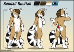  absurd_res anthro black_border border cacomistle english_text girly hi_res kendall_(sirkain) male mammal model_sheet nude o-kemono procyonid ring-tailed_cat ringtail solo text url 