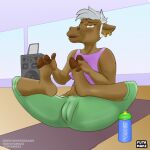 anthro bottomwear camel camel_toe camelid clothing ear_piercing ear_ring female futamaki genital_outline hair hi_res mammal pants piercing ring_piercing short_hair solo solo_focus spread_legs spreading vulva_outline white_hair yoga yoga_mat yoga_pants