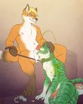  2017 anthro balls bite biting_lip blush bodily_fluids canid canine cantares chastity_cage chastity_device collar digital_media_(artwork) domination duo eyes_closed eyewear felid fox fur genital_fluids genitals glasses glopossum green_body green_fur hair hand_on_head kneeling leash little_the_foxy male male/male male_domination mammal nipples nude orange_body orange_fur pantherine pawpads peeing_on_another penis precum simple_background sitting smelling striped_body striped_fur stripes submissive submissive_male tiger urine watersports white_body white_fur 
