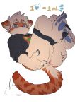  anthro anus balls black_clothing black_hoodie black_topwear blue_eyes blue_nose butt clothed clothing domestic_cat ear_tuft felid feline felis fur genitals hair hi_res hkl hkl9917462 hoodie inner_ear_fluff kemono male mammal orange_body orange_fur orange_tail partially_clothed presenting presenting_anus presenting_hindquarters red_body red_fur shy solo spread_butt spreading tan_balls tan_body tan_fur tan_hair topwear tuft underwear 