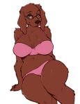  anthro big_breasts bird_dog bra breasts brown_body canid canine canis clothing domestic_dog faizenek female green_eyes hi_res hunting_dog irish_setter mammal navel panties pink_clothing pink_underwear setter simple_background slightly_chubby solo underwear white_background 
