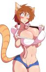  absurd_res animal_humanoid blush breasts cat_humanoid clothing domestic_cat felid felid_humanoid feline feline_humanoid felis female hi_res humanoid mammal mammal_humanoid panties sagestrike2_(artist) solo underwear 