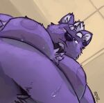 2024 anthro artist_name beard black_nose bodily_fluids canid canine chest_tuft ear_piercing eyebrows facial_hair fur hair half-closed_eyes hi_res kodi_(spyz) looking_at_viewer male mammal moobs narrowed_eyes navel nipples overweight overweight_anthro overweight_male pec_pov_meme piercing purple_body purple_fur shirtless solo spyz_(artist) sweat tuft watermark white_eyebrows white_hair