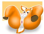 aggretsuko antelope anthro anus areola big_butt black_eyes blush bodily_fluids bovid breasts butt drain_(pixiv) embarrassed feet female gazelle genitals half-closed_eyes hi_res horn lying mammal multicolored_body narrowed_eyes nipples on_back open_mouth orange_background orange_body presenting presenting_hindquarters pussy sanrio simple_background solo spread_legs spreading sweat tail thomson&#039;s_gazelle true_antelope tsunoda_(aggretsuko) two_tone_body