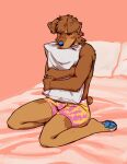 anthro bed blue_pawpads blush boxers_(clothing) boxers_only brown_body brown_fur canid canine canis clothed clothing comforting domestic_dog fur furniture hi_res koyotesol looking_at_viewer male mammal on_bed pawpads pillow pillow_hug slim_anthro slim_male solo topless underwear underwear_only