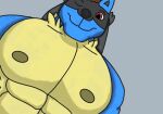 abs anthro barazoku big_pecs black_body black_fur blue_body blue_fur brown_hair canid canine curled_hair fur generation_4_pokemon hair lucario male mammal muscular muscular_anthro muscular_arms muscular_male nintendo pec_pov_meme pecs pokemon pokemon_(species) red_eyes solo yellow_body yellow_fur