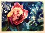  flower highres leaf no_humans original painting_(medium) pink_flower pink_rose plant real_life rose rose_bush shibakaka still_life traditional_media watercolor_(medium) 