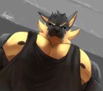 adrovmike anthro biceps canid canine canis digital_media_(artwork) hair hi_res hogan male male/male mammal meme muscular muscular_anthro muscular_male nipples pecs solo wolf