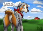  2020 australian_shepherd bandanna barn blue_eyes butt canid canine canis cloud detailed_background dialogue domestic_dog english_text featureless_crotch female feral fur herding_dog looking_back mammal multicolored_body multicolored_fur pastoral_dog plains rear_view sheepdog short_tail sky solo talking_to_viewer text tre_pinkney 