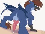  absurd_res airfly-pony airfly-pony2014 anus avian balls beak blue_body blue_feathers bodily_fluids fan_character feathers genital_fluids genitals green_eyes gryphon hi_res knot looking_at_viewer male my_little_pony mythological_avian mythology penis precum solo talons warly wings 