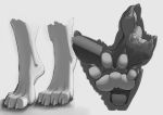  4_toes ambiguous_gender anthro barefoot claws deviantchump foot_focus foot_shot greyscale monochrome pawpads toe_claws toes unknown_species 