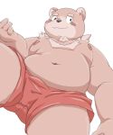  2020 anthro belly bottomwear brown_body brown_fur clothing fur humanoid_hands kemono male mammal meg_hoi moobs navel nipples overweight overweight_male shorts simple_background solo ursid white_background 
