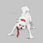1:1 2021 akita azzai black_nose canid canine canis cheek_tuft colored colored_sketch curled_tail digital_drawing_(artwork) digital_media_(artwork) domestic_dog eyebrows facial_tuft feral fur grey_background male mammal monotone_body monotone_fur mostly_nude red_eyes red_scarf scarf scarf_only shaded simple_background sketch solo spitz standing tail teeth tuft white_body white_eyebrows white_fur