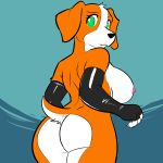 anthro areola armwear beagle big_breasts black_armwear black_clothing black_legwear black_stockings breasts butt canid canine canis claws clothing domestic_dog female finger_claws fingerless_gloves fur gloves green_eyes handwear head_tuft hi_res hunting_dog legwear looking_back mammal mostly_nude nipples orange_body orange_fur scent_hound short_tail shy sleepyly solo stockings tail tuft white_body white_fur wide_hips