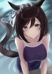 1girl absurdres animal_ears bare_shoulders black_hair blue_eyes blue_one-piece_swimsuit blush bob_cut breasts collarbone commentary_request competition_school_swimsuit ear_ribbon ear_scrunchie eishin_flash_(umamusume) hair_between_eyes hanba_agu highres horse_ears horse_girl horse_tail large_breasts looking_at_viewer one-piece_swimsuit parted_lips pool school_swimsuit scrunchie short_hair smile solo swept_bangs swimsuit tail tracen_swimsuit umamusume water wet white_scrunchie 