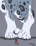  2018 ambiguous_gender anthro canid canine duo felid female foot_focus fox looking_at_another mammal nude pantherine plantigrade size_difference snow_leopard vegabone 