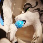 1:1 3d_(artwork) 4k absurd_res animal_genitalia animal_penis anthro anthro_on_anthro anthro_penetrated anthro_penetrating anthro_penetrating_anthro armwear balls bdsm biped black_body black_clothing black_fur blender_(artwork) blender_cycles_(artwork) blue_body blue_fur blue_penis bodily_fluids canid canine canine_genitalia canine_penis canis claws clothed clothing collar cum cum_dripping_from_penis cum_on_penis depth_of_field digital_media_(artwork) dominant dragonplayer dragonplayer_(character) duo erection feet fellatio fox fur genital_fluids genitals grey_body grey_fur hair hi_res hindpaw hybrid inside jex kenovawolf kitchen kneeling kneeling_oral_position knot latex latex_armwear latex_clothing latex_legwear latex_thigh_highs leash leashed_collar legwear male male/male male_penetrating mammal moan multicolored_body nude open_mouth oral oral_penetration orgasm paws penetration penile penis penis_in_mouth pink_penis reflection rexouium sex slim slim_anthro slim_male slim_sub smile standing submissive submissive_male tail thigh_highs white_body white_fur