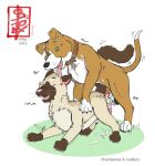 anal anal_orgasm anal_penetration animal_genitalia animal_penis aroused balls blush bodily_fluids canid canine canine_genitalia canine_penis canis collar cum cum_in_ass cum_inside cum_on_grass cum_on_ground domestic_cat domestic_dog duo ejaculation erection felid feline feline_genitalia feline_penis felis fennec_(artist) feral genital_fluids genitals grass hands-free humping knot knot_in_ass male male/male mammal orgasm penetration penis phantasmas_(fa) pit_bull plant siamese size_difference size_play tail text