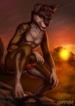  absurd_res anthro balls blue_eyes canid canine canis erection fluffy fur genitals goatesque hi_res knot male mammal neck_fur penis penis_tip solo wolf 