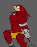  4:5 anthro bulge clothing echidna fur hi_res knuckles_the_echidna male mammal monotreme muscular muscular_male red_body red_fur solo sonic_the_hedgehog_(series) speedo swimwear terrykurosu 