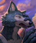 anthro beastars black_nose blue_body blue_fur canid canine canis claws clothed clothing detailed_background fangs fur hi_res holding_object legoshi_(beastars) male mammal multicolored_body multicolored_fur neungsonie open_mouth scar solo tongue two_tone_body two_tone_fur white_body white_fur wolf 