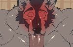 age_difference aged_up ahegao animated anthro barazoku beard blush bodily_fluids body_hair canid canine canis chest_hair duo facial_hair fellatio fellatio_gesture gesture hair hairy hi_res looking_pleasured male male/male mammal mature_anthro mature_male muscular muscular_anthro muscular_male older_anthro oral penile pinumontbalou saliva sex suggestive suggestive_gesture sweat tears tears_of_pleasure wolf