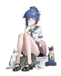  1girl absurdres animal arknights artist_name bare_legs black_cat black_sailor_collar black_shoes blue_hair brown_cat cat closed_mouth commentary english_commentary full_body green_eyes grey_cat highres jessica_(arknights) knees_together_feet_apart looking_at_viewer multicolored_hair no_socks orini pink_hair ponytail sailor_collar school_uniform serafuku shirt shoes short_hair short_sleeves simple_background sitting solo streaked_hair variant_set white_background white_cat white_shirt 