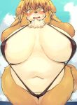  2020 akitaka anthro beauty_mark big_breasts bikini blush bodily_fluids breasts brown_body brown_fur brown_hair canid canine canis clothed clothing curvy_figure day domestic_dog embarrassed female fur hair hand_on_head huge_breasts kemono mammal multicolored_body multicolored_fur navel neck_tuft nipples open_mouth outside overweight overweight_female portrait skimpy sling_bikini solo standing sweat swimwear thick_thighs three-quarter_portrait tuft two_tone_body two_tone_fur voluptuous white_body white_fur wide_hips yellow_eyes 