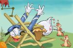 anatid anseriform anthro avian beak bird brown_body brown_fur butt butthurt chair chip_(disney) chipmunk clothing dale_(disney) disney donald_duck duck feathers food fruit fur furniture ground_squirrel group hat headgear headwear hi_res male mammal monobutt pain pineapple plant rodent sailor_cap sailor_uniform sciurid sewing_needle stuck tail tail_feathers trio umbrella uniform white_body white_feathers zdrer456