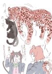  2girls absurdres anger_vein animal_ears animalization black_cat black_hair blazer blue_jacket bow bowtie cardigan cat cat_ears cat_girl cat_tail closed_eyes commentary_request ear_wiggle fang green_bow green_bowtie highres inazuma_(elect_line) jacket kemonomimi_mode leopard leopard_ears leopard_girl leopard_tail love_live! love_live!_school_idol_project medium_hair multiple_girls nishikino_maki open_clothes open_jacket open_mouth otonokizaka_school_uniform person_and_animalization pink_cardigan pointing pointing_up red_hair school_uniform scruffing simple_background tail translation_request twintails white_background winter_uniform yazawa_nico 