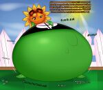 2026 absurd_res artist_logo belly big_belly black_clothing black_eyes black_shirt black_topwear blonde_hair blue_sky clothing cloud colored dialogue digital_media_(artwork) electronic_arts elemental_creature english_text enjoying eyelashes eyewear eyewear_on_head fancy_blue female fence flora_fauna flower flower_creature freckled_face freckles goggles goggles_on_head grass green_body hair hand_on_belly hand_on_own_belly hi_res huge_belly hyper hyper_belly leaf leaf_arms leaf_legs logo looking_at_belly looking_at_own_belly looking_down looking_down_at_self motion_lines not_furry onomatopoeia orange_face outside petal_hair petals plant plants_vs._zombies plants_vs._zombies_heroes popcap_games pseudo_hair red_eyewear red_goggles rumbling_stomach shaded shirt sky slosh sloshing_belly smile solar_flare_(pvz) solo sound_effects sun sunflower_(pvz) talking_to_another text three-quarter_view topwear vore yellow_petals yellow_sclera
