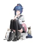 1girl absurdres animal arknights artist_name black_cat black_sailor_collar black_shoes black_thighhighs blue_hair brown_cat cat closed_mouth commentary english_commentary full_body green_eyes grey_cat highres jessica_(arknights) knees_together_feet_apart looking_at_viewer multicolored_hair orini pink_hair ponytail sailor_collar school_uniform serafuku shirt shoes short_hair short_sleeves simple_background sitting solo streaked_hair thighhighs variant_set white_background white_cat white_shirt 