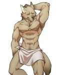  2014 4:5 abs anthro biceps canid canine canis clothed clothing fur male mammal muscular scrawl_naguri simple_background solo topless towel towel_only wolf 