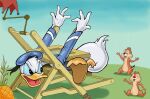 anatid anseriform anthro avian beak bird brown_body brown_fur butt chair chip_(disney) chipmunk clothing dale_(disney) disney donald_duck duck feathers food fruit fur furniture ground_squirrel group hat headgear headwear hi_res male mammal monobutt pineapple plant rodent sailor_cap sailor_uniform sciurid stuck tail tail_feathers trio umbrella uniform white_body white_feathers zdrer456