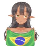 1girl absurdres aceofbros bare_shoulders black_choker black_hair brazilian_flag brown_eyes choker collarbone dark_skin earrings eyebrows_visible_through_hair flag highres holding holding_flag jewelry long_hair looking_to_the_side oni oni_horns original parted_lips pointy_ears solo 