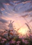  1girl absurdres animal_ears arknights back blurry bunny_ears chinese_commentary cloak cloud cloudy_sky commentary cowboy_shot dawn depth_of_field field flower from_behind frostnova_(arknights) highres kagura_tohru light_particles outdoors scenery short_hair sky solo standing sun sunlight white_cloak white_hair wind 