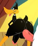  anal anal_penetration anthro balls big_butt butt daffy_duck duo genitals hi_res komdog looney_tunes male male/male penetration penis sex tongue warner_brothers 