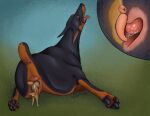 2026 anatomically_correct anatomically_correct_genitalia anatomically_correct_vulva animal_genitalia animal_vulva anus black_body black_fur black_pawpads bodily_fluids body_in_pussy brown_body brown_fur canid canine canine_genitalia canine_vulva canis chipmunk clitoral clitoral_penetration clitoral_rubbing clitoris digital_drawing_(artwork) digital_media_(artwork) dobermann docked_tail domestic_dog duo extreme_size_difference eyes_closed fancy_(regsmutt) female female/female feral feral_on_feral fur genital_fluids genitals grey_body grey_fur ground_squirrel hi_res interspecies living_insertion looking_pleasured mammal markings open_mouth pawpads penetration_interlock pink_anus pink_clitoris pink_tongue pink_vulva pinscher realistic_feral regsmutt rodent rodent_genitalia rodent_vulva scar sciurid sex short_tail simple_background size_difference size_play smile striped_markings stripes tail tail_scar tan_body tan_fur tongue tribadism vaginal vaginal_fluids vulva white_body white_fur