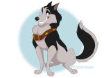 4:3 balto_(series) black_body black_fur black_nose blue_eyes brown_collar canid canine canis collar collar_only colored digital_drawing_(artwork) digital_media_(artwork) domestic_dog felixcartoons feral fur grey_body grey_fur hi_res husky male mammal multicolored_body multicolored_fur nordic_sled_dog nude quadruped shaded snout solo spitz steele_(balto) tail teeth two_tone_body two_tone_fur universal_studios