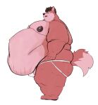 anthro belly belly_overhang big_belly big_moobs big_nipples butt canid canine canis cellulite clothed clothing domestic_dog fluffy fluffy_tail fupa hi_res huge_belly husky jockstrap jockstrap_only licking licking_lips love_handles male mammal moobs navel nipples nordic_sled_dog overweight overweight_male smile solo spitz standing tail tcw thick_thighs tongue tongue_out topless underwear underwear_only