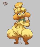  animal_crossing anthro bird_dog blue_eyes bodily_fluids breasts canid canine canis clitoris clothing coffekitten domestic_dog female fingers genital_fluids genitals golden_retriever hi_res hunting_dog isabelle_(animal_crossing) looking_back looking_pleasured mammal nintendo pussy pussy_juice retriever simple_background thick_thighs video_games 