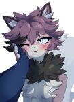 2026 5_fingers :3 anthro big_tail biped black_body black_fur black_hair black_hair_tip blep blue_arms blue_body blue_eyes blue_fur blue_inner_ear_fluff blue_nose blue_pawpads blue_tail canid canine canis cheek_grab chest_tuft digital_drawing_(artwork) digital_media_(artwork) dire_wolf domestic_cat duo eyebrow_through_hair eyebrows eyelashes felid feline felis femboy fingers first_person_view fluffy fluffy_chest fluffy_tail fur grabbing_cheek hair hand_holding handpaw headpat hi_res humanoid_hands inner_ear_fluff long_hair luzenith_lawchi male male/male mammal markings multicolored_body multicolored_fur narrowed_eyes neck_tuft nulia one_eye_closed pawpads paws petting pink_body pink_fur pink_markings prehistoric_species purple_body purple_eyebrows purple_fur purple_hair qatto_(qin) shaded simple_background standing tail tongue tongue_out translucent translucent_hair tuft white_background white_sclera wolf