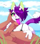  anthro beach clothed clothed/nude clothed_female_nude_male clothing demon domestic_cat duo felid feline felis female genitals hi_res horn human human_on_anthro interspecies licking male male/female mammal nude oral penile penis penis_lick sea seaside sex tokiie tongue tongue_out water 